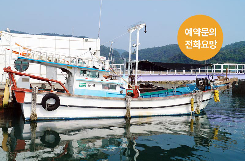 ÆÐŰÁö »óǰ¾È³»